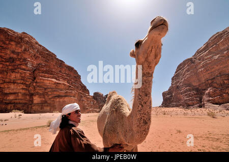 Ein Beduin streicheln ein Dromedar in die Wüste Wadi Rum, Jordanien Stockfoto