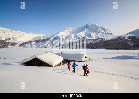 Wanderer auf Schneeschuhen wandern im Schnee in der Nähe der Hütten von Spluga über dem Maloja-Pass. Kanton Graubünden. Engadin. Schweiz. Europa Stockfoto