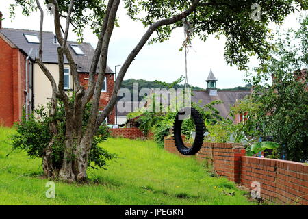 Reifen-Schaukel hängen von einem Baum in einer grünen hinter Gehäuse in Sheffield, Großbritannien Stockfoto