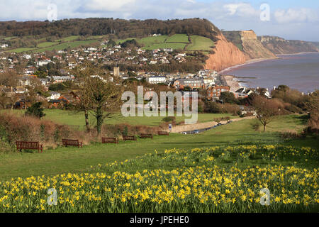 Die malerische Stadt Sidmouth Devon sonnt sich in herrlichen Frühling Sonnenschein Stockfoto