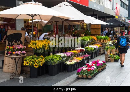 Blumengeschäft auf Rundle Street Mall, Adelaide, Australien. Stockfoto