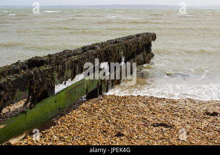 Küstenverteidigung zur Vermeidung von Erosion der Küsten am Kiesstrand in Titchfield Hampshire an der Südküste von England Stockfoto