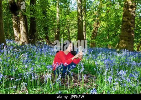 Frau in Bluebell Woodland nehmen Foto Stockfoto