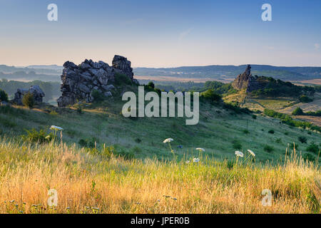 Felsformation, Naturschutzgebiet Teufelsmauer, Morgen, Licht, in der Nähe von Weddersleben, Harz, Sachsen-Anhalt, Deutschland Stockfoto