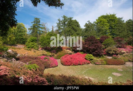 Bunte Bäume und Pflanzen an Virginia Wasser, im Windsor Great Park in Surrey, England. Stockfoto