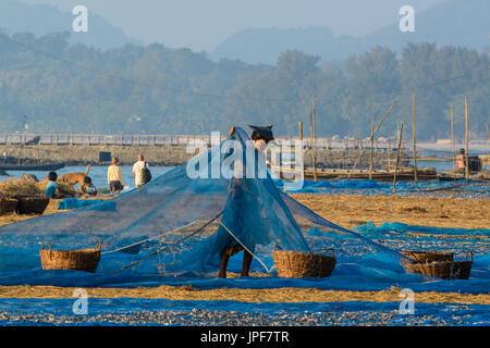 NGAPALI, MYANMAR - 27. Februar 2014: Birmanischen Frauen bei der Arbeit, trocknen frischen Fisch am Ngapali Beach, Myanmar; Verkauf von Fischen ist die Haupteinnahmequelle für die einheimische Stockfoto