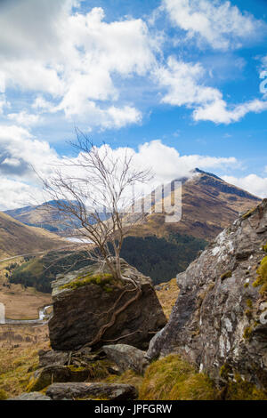 Mit Blick auf eine Lochain aus dem Corbett eine Binnein Fhidhleir zu Beinn, Highlands Schottland Stockfoto