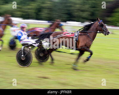 Turriff, Schottland. 31. Juli 2017. Sulky Racing bei Turriff Agrarmesse 2017 Credit: AC Bilder/Alamy Live-Nachrichten Stockfoto