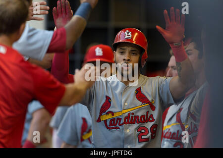 Milwaukee, WI, USA. 1. August 2017. St. Louis Cardinals linker Feldspieler Tommy Pham #28 ist nach seinem Tor in der 4. Inning der Major League Baseball Spiel zwischen den Milwaukee Brewers und den St. Louis Cardinals im Miller Park in Milwaukee, Wisconsin gratulierte. John Fisher/CSM Stockfoto