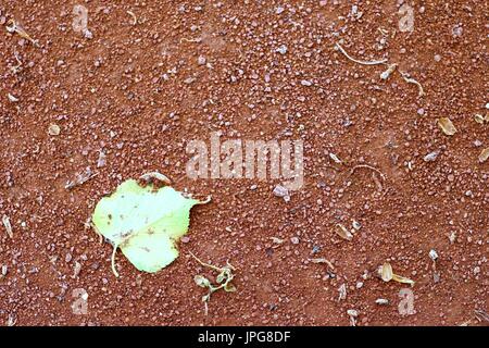 Detail des trockenen Blatt am Tennisplatz. Trockenen hellrot zerkleinert Ziegel Oberfläche auf Tennis im freien Boden. Ende der Saison. Stockfoto