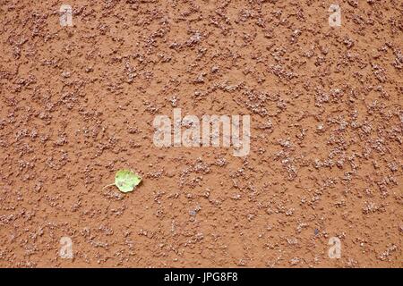 Detail des trockenen Blatt am Tennisplatz. Trockenen hellrot zerkleinert Ziegel Oberfläche auf Tennis im freien Boden. Ende der Saison. Stockfoto