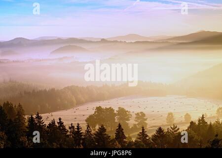 Rosa Götterdämmerung in hügeliger Landschaft. Nebligen Herbstmorgen in einem schönen Hügeln. Gipfel der Hügel sind aus Nebel herausragen Stockfoto