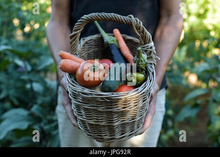 Closeup von einem kaukasischen Jüngling mit einem rustikalen Korb voll mit Gemüse frisch gesammelt in einem Bio-Obstgarten Stockfoto