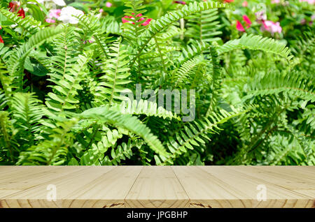 Perspektivische Holz Fenster Darstellung mit grünem Garten Hintergrund. Grünen Garten Hintergrund von Fishbone Farn oder Schwert Farn (Nephrolepis Cordifolia (L.) Pres Stockfoto