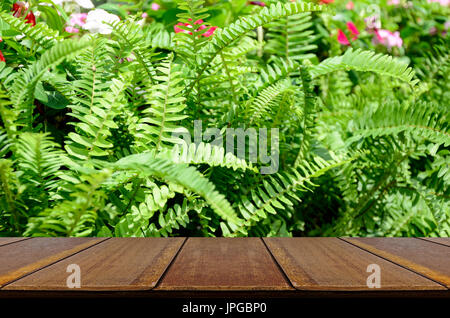 Perspektivische Holz Fenster Darstellung mit grünem Garten Hintergrund. Grünen Garten Hintergrund von Fishbone Farn oder Schwert Farn (Nephrolepis Cordifolia (L.) Pres Stockfoto