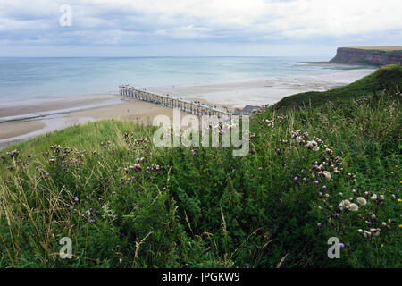 Saltburn Pier von der Spitze der Klippe hinunter auf das Meer und den Strand Stockfoto