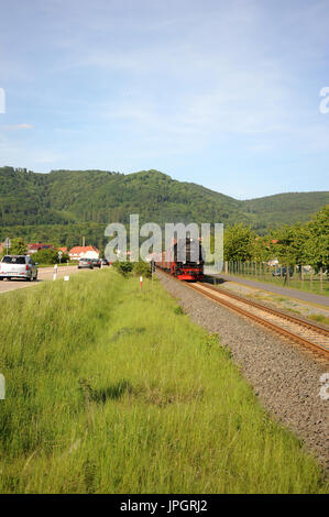 99 7232-4 Köpfe ein Zug für Nordhausen in Ilfeld Schreiberwiese, Harzer Schmalspurbahnen. Stockfoto