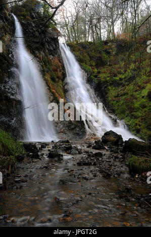 Die Grey Mare Tail / Rhaeadr y Parc Mawr, in der Nähe von Romanum, Nordwales. Stockfoto