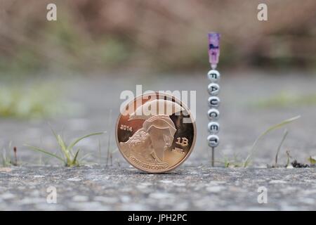 Digitale Währung physische gold Titan Bitcoin Münzen in der Nähe von Wasserhahn Inschrift auf der Nadel. Stockfoto