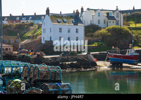 St Abbs Hafen, Berwickshire, Scottish Borders Stockfoto