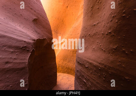 Spooky Canyon zusammen mit Peek-a-boo Canyon ist über einen kurzen Spaziergang vom Parkplatz erreichbar. Einer der beliebtesten Slot Canyons in der Gegend in Utah. Stockfoto