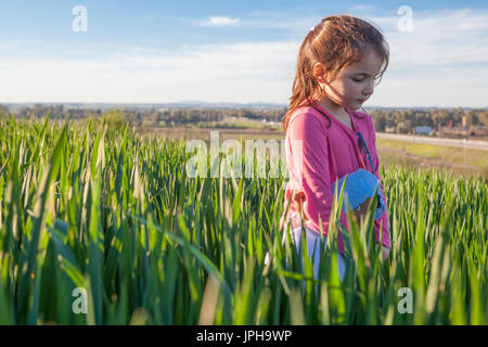 Kleine Mädchen und ihre Puppe zu Fuß durch grüne Getreide Feld bei Sonnenuntergang, Spanien Stockfoto