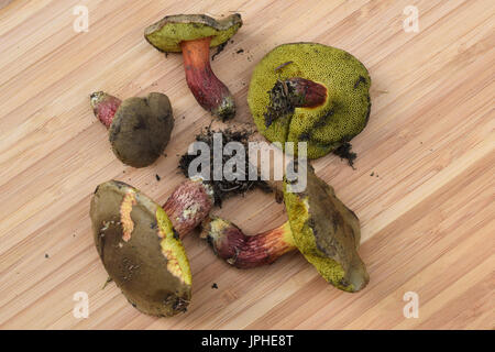 Pilze auf Holzbrett Stockfoto