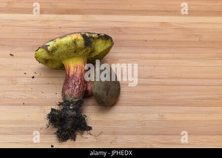 Pilze auf Holzbrett Stockfoto