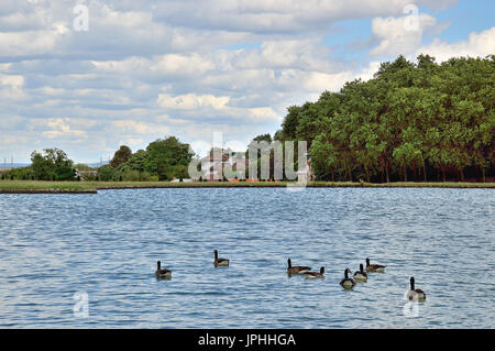 Marly-Le-Roi Stockfoto