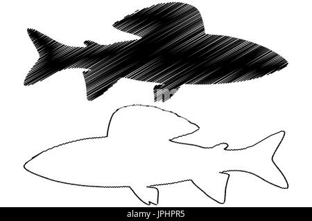 Äsche Silhouette Vektor, (Thymallus Thymallus), Stock Vektor