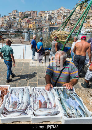 Entladen frisch Fisch verkauft am Kai im Hafen Sciacca in Southerm Sizilien, Italien. Stockfoto