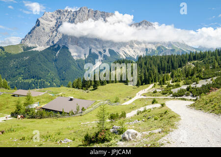 Blick von der Seebenalm auf der Zugspitze Bergkette, Ehrwald, Tirol, Österreich Stockfoto