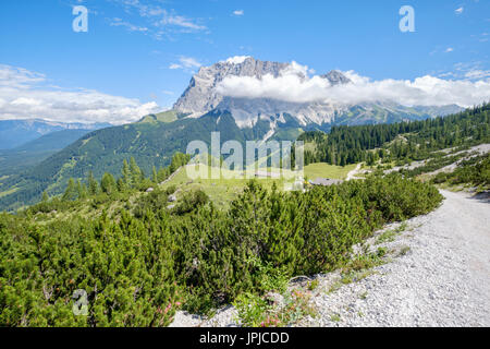 Blick von der Seebenalm auf der Zugspitze Bergkette, Ehrwald, Tirol, Österreich Stockfoto