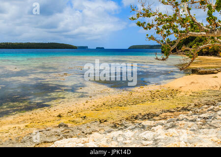 Vava ' u-Archipel, Neiafu, Tonga. Blick auf den tropischen Strand auf der Insel Vava'u. Stockfoto