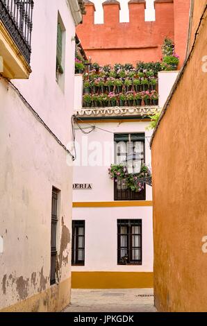 Traditionelle Straßen von Sevilla im jüdischen Viertel von Santa Cruz Stockfoto