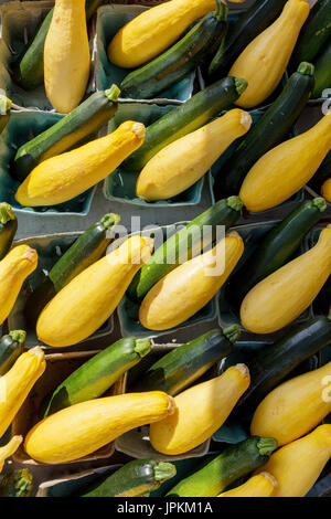 Monawk Valley, New York state - Kürbis und Zucchini zum Verkauf an ein Bauernmarkt im Bundesstaat New York Stockfoto