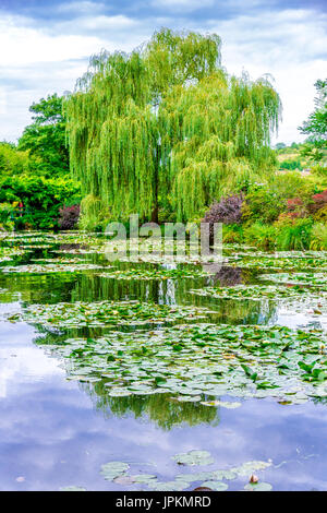 Monets Garten in Giverny, Frankreich Stockfoto