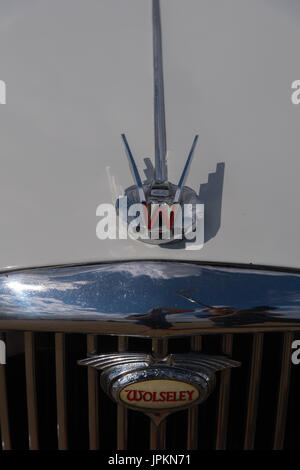 Wolseley 1500 Stockfoto