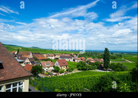 Weinberge im Elsass und in Frankreich und Deutschland, Rheingau Weinanbaugebiete, berühmte Winzer bieten Weinproben und sind stolz auf ihren Wein, Stockfoto