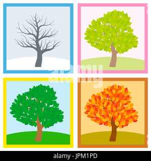 Baum im Winter, Frühling, Sommer und Herbst mit verschiedenen Laub in typischen Farben und Schattierungen, während die Blätter färben sich im Laufe eines Jahres. Stockfoto