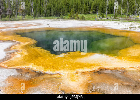 Emerald Pool heißen Quellen von Black Sand-Becken im Yellowstone-Nationalpark, Wyoming. Stockfoto