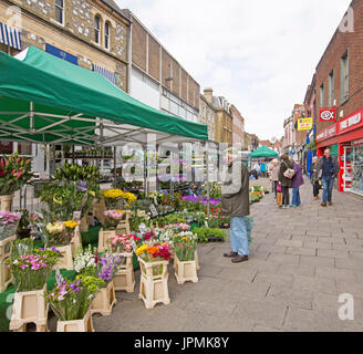 Blume mit älteren Mann in farbenfrohen Display von frischen Blumen auf der Suche nach grün & weiss Markise an Street Market in Winchester, England Abschaltdruck Stockfoto