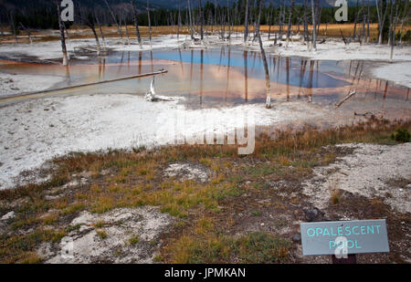 Schillernde Pool Thermalquelle in schwarz-Sand-Geysir-Becken im Yellowstone National Park in Wyoming USA Stockfoto