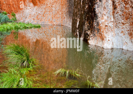 Gefülltes Wasserloch in der Kantju Gorge am berühmten Uluru nach etwas gutem Regen. Stockfoto