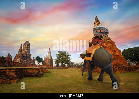 Touristen mit Elefanten St Wat Chaiwatthanaram Tempel in Ayutthaya Historical Park, ein UNESCO-Weltkulturerbe Stockfoto