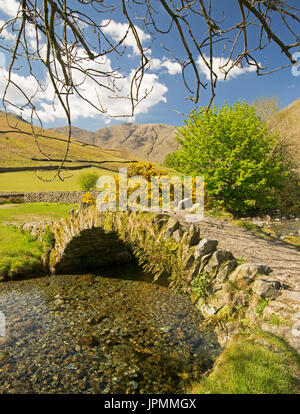 Eine atemberaubende Landschaft, alte Stein gewölbt Fußgängerbrücke über Tröpfelnden stream & Weg vorbei an Farmland zu baumlosen Hügel des Lake District Nat Pk Stockfoto