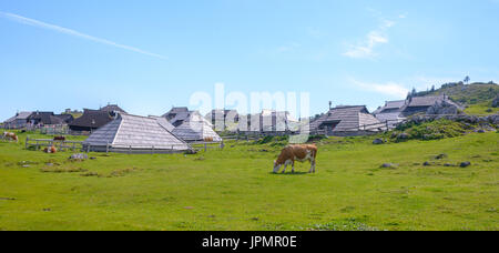 Velika Planina Plateau, Slowenien, Bergdorf in den Alpen, Holzhäuser im traditionellen Stil, beliebtes Reiseziel Wandern Stockfoto