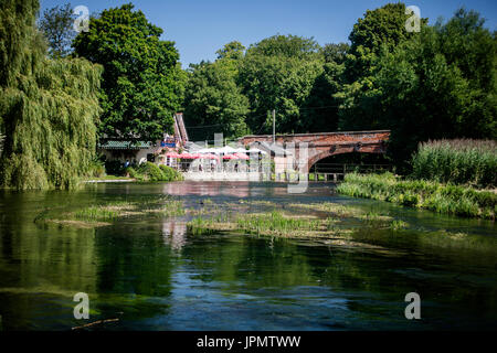 Blick flussaufwärts auf dem Fluss Test in Richtung der Eintagsfliege, Fullerton, in der Nähe von Stockbridge, Hampshire, England Stockfoto