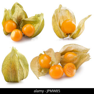 Physalis auf dem weißen Hintergrund isoliert. Stockfoto