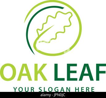 abstrakte Eichenblatt innerhalb eines Kreises, Logo-Design, isoliert auf weißem Hintergrund. Stock Vektor